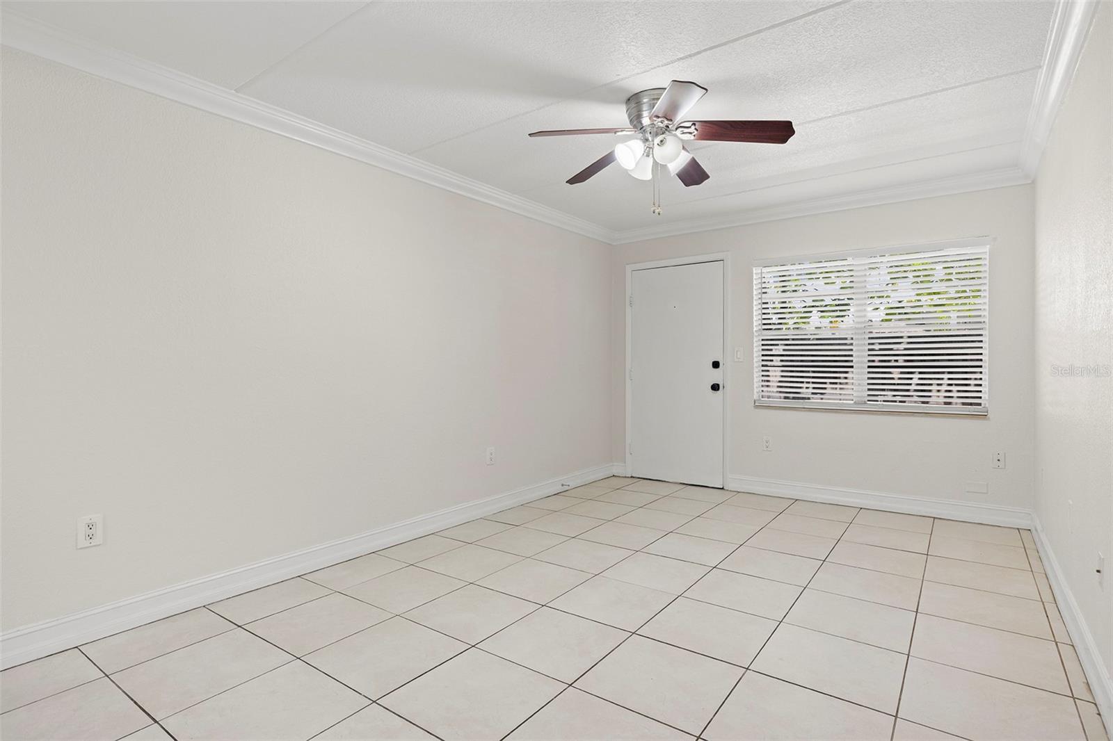 5221 Bayshore Blvd #11 Property Photo 17