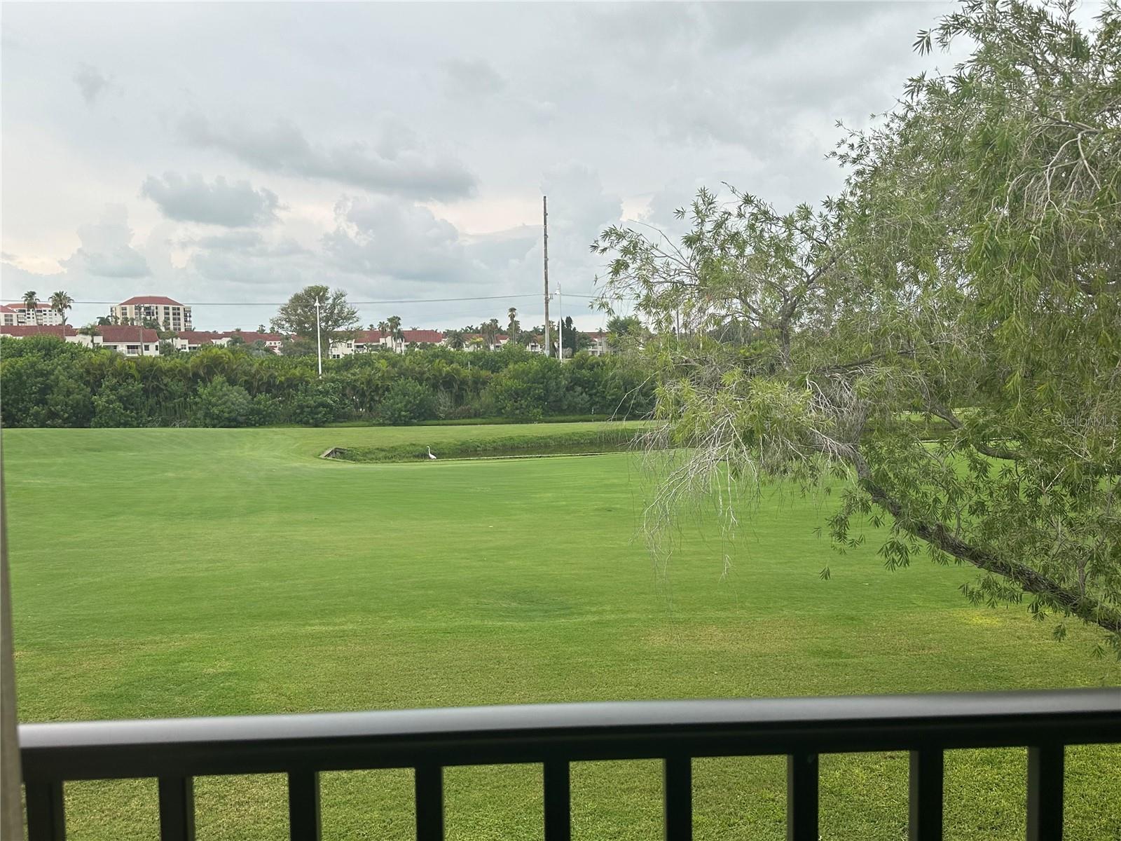 6335 Palma Del Mar Blvd S #221 Property Photo 13