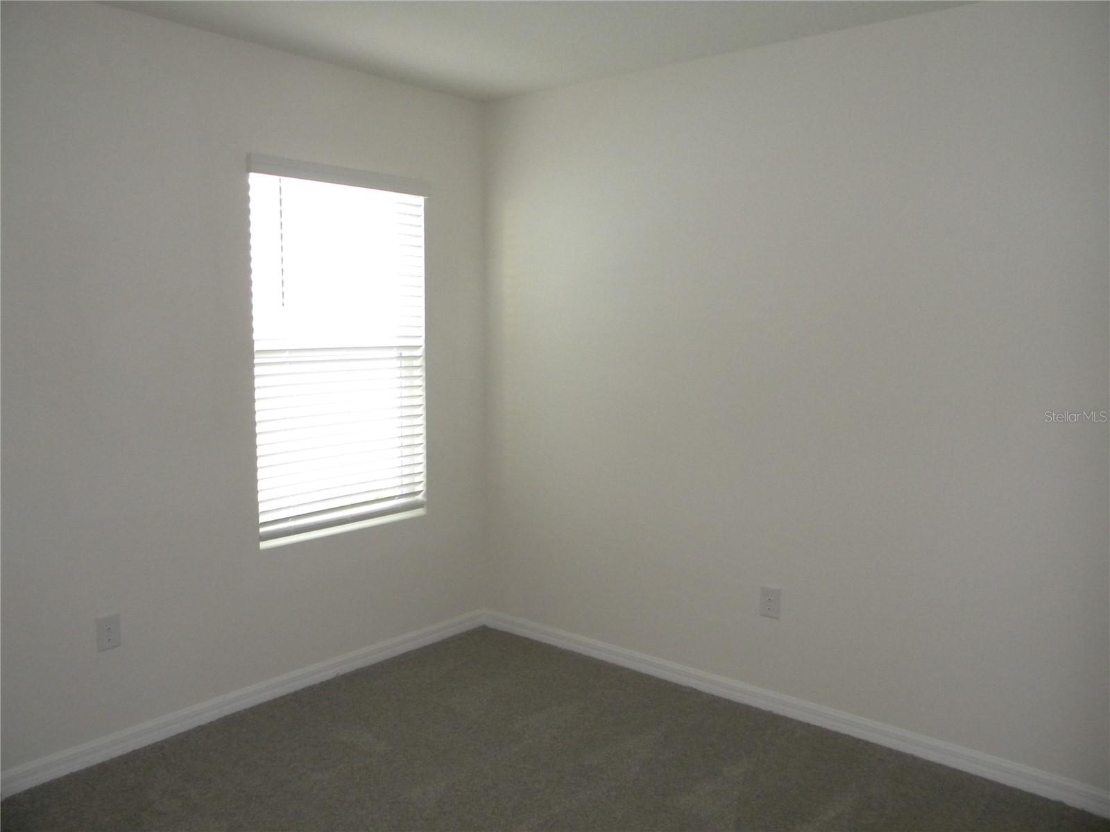 34274 Jasper Stone Dr Property Photo 21