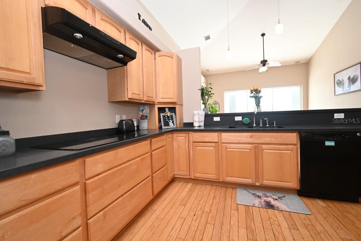 12106 Palm St Property Photo 8