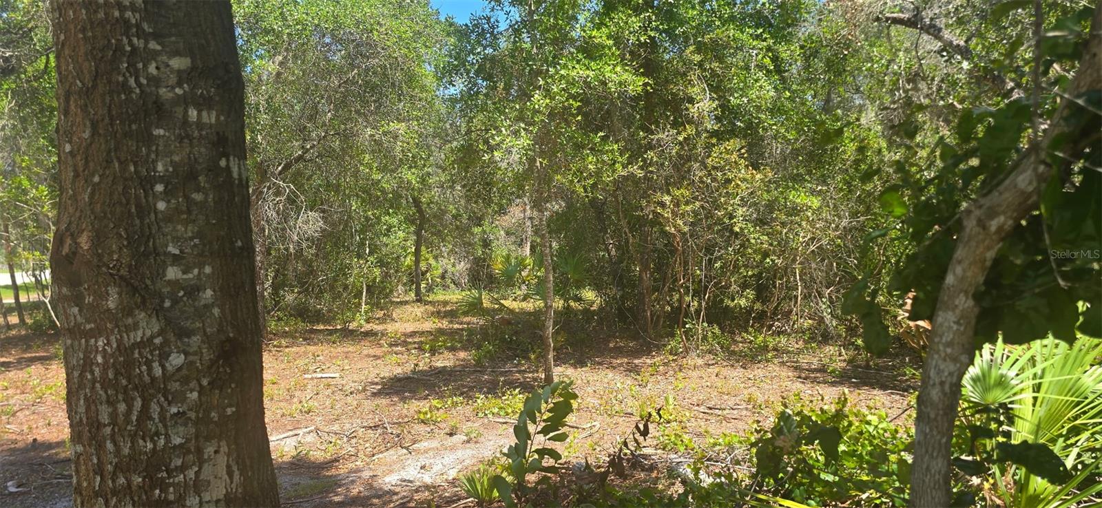 Ne 236th Ct Property Photo 10