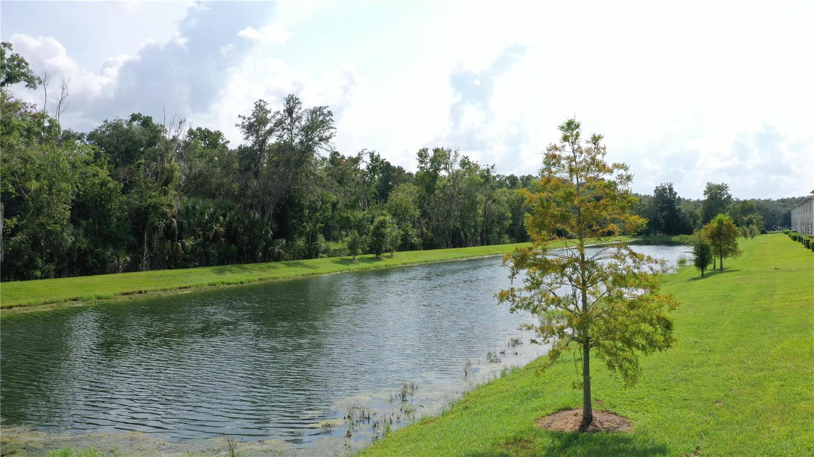 26130 Fantasy Sky Ln Property Photo 38