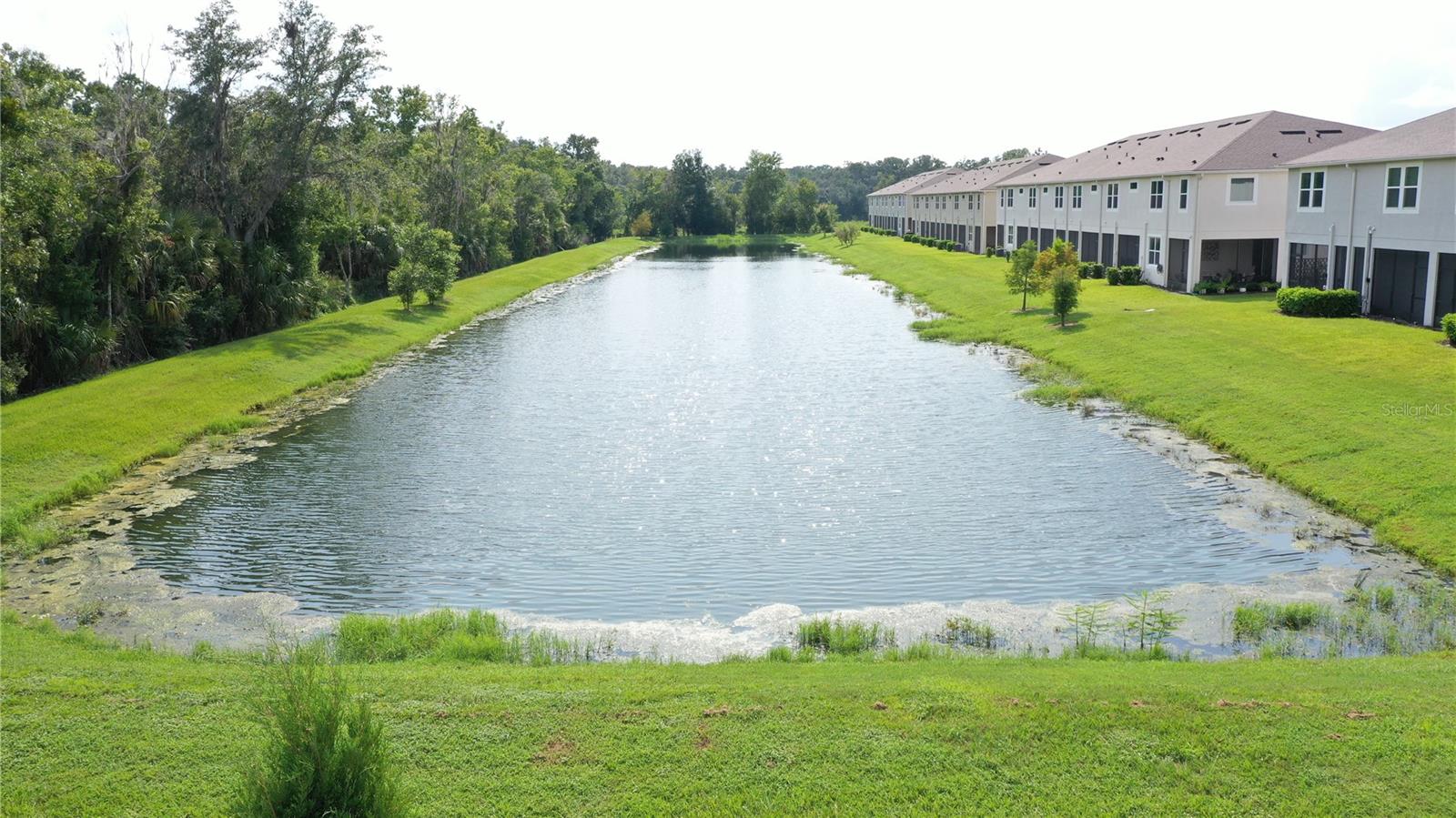 26130 Fantasy Sky Ln Property Photo 39
