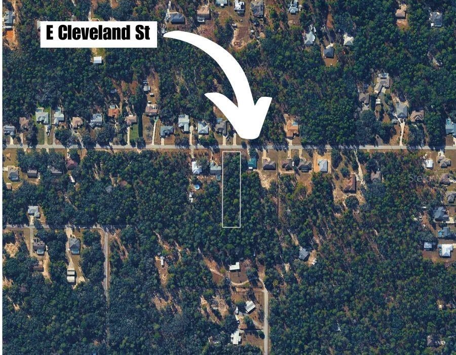 1567 E Cleveland St Property Photo 12