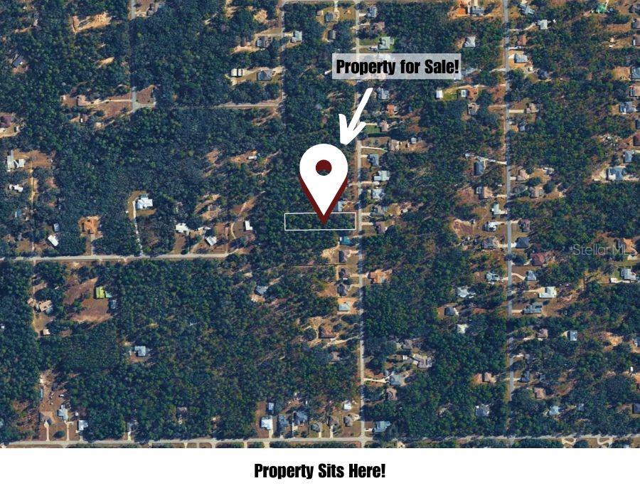 1567 E Cleveland St Property Photo 16