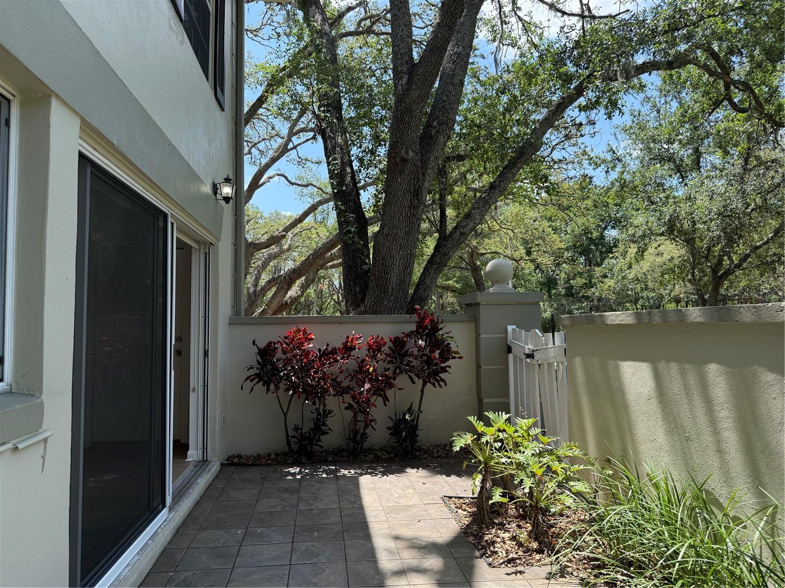 6206 Dewdrop Way Property Photo 10