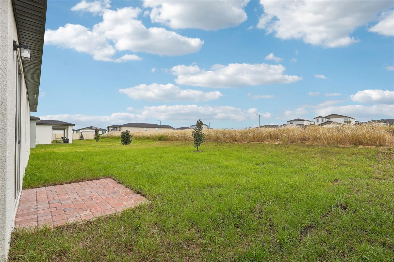 2194 Wildberry Way Property Photo 28