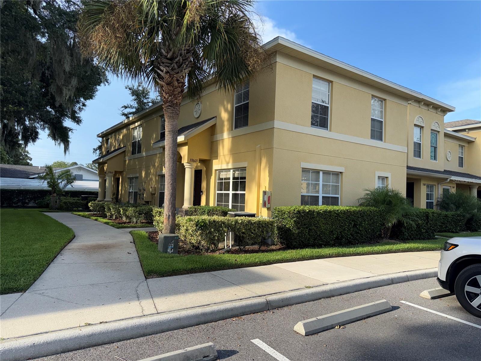 37603 Daliha Ter Property Photo 1