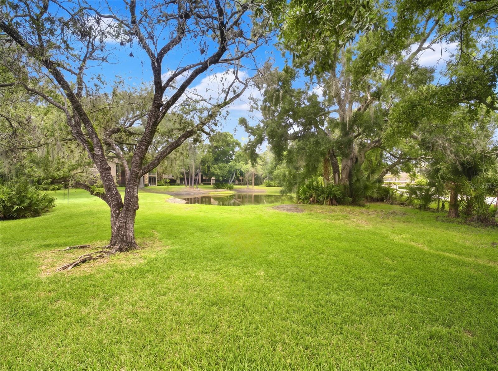 1400 Tarpon Woods Blvd #a1 Property Photo 37