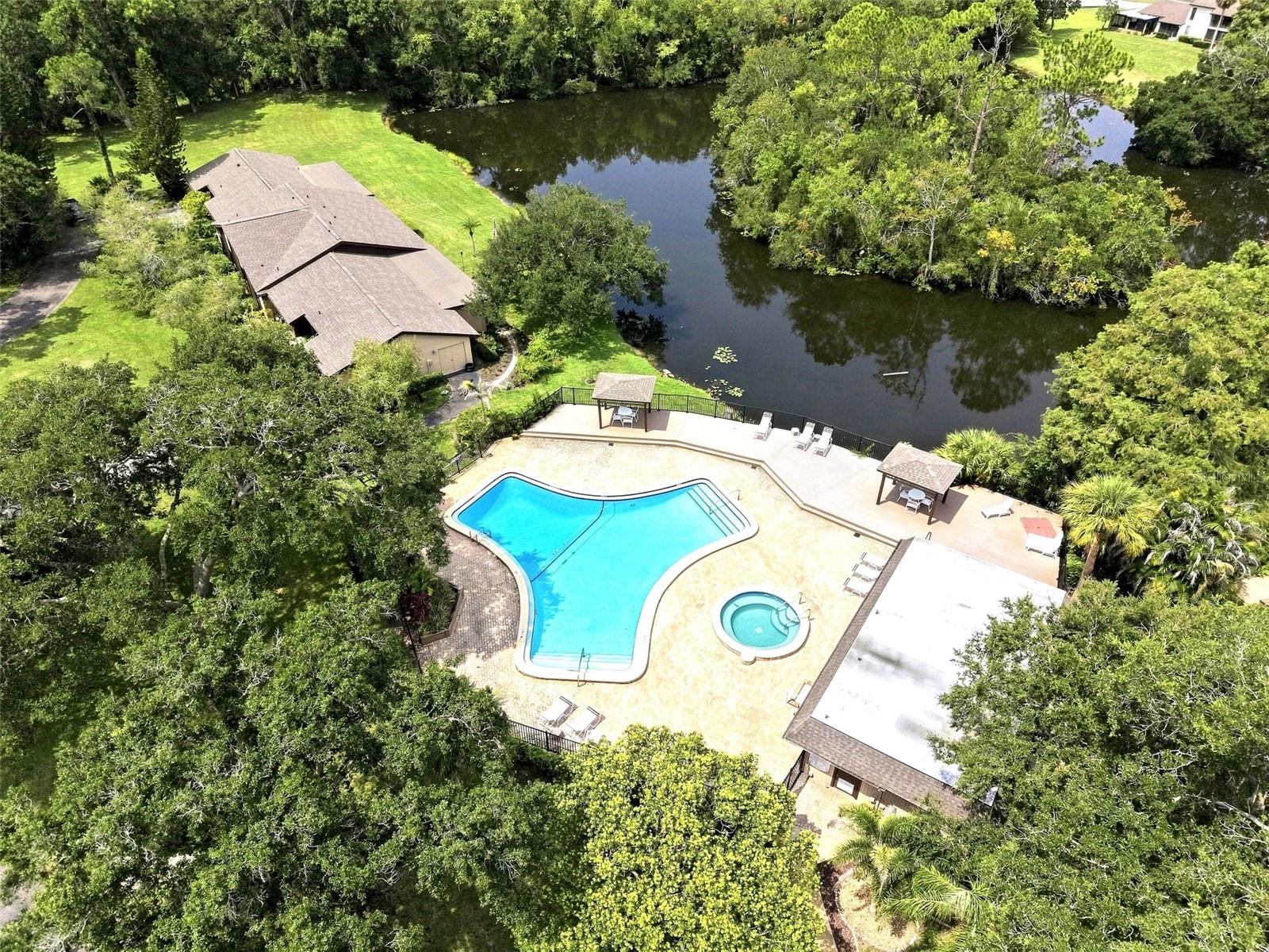 1400 Tarpon Woods Blvd #a1 Property Photo 39