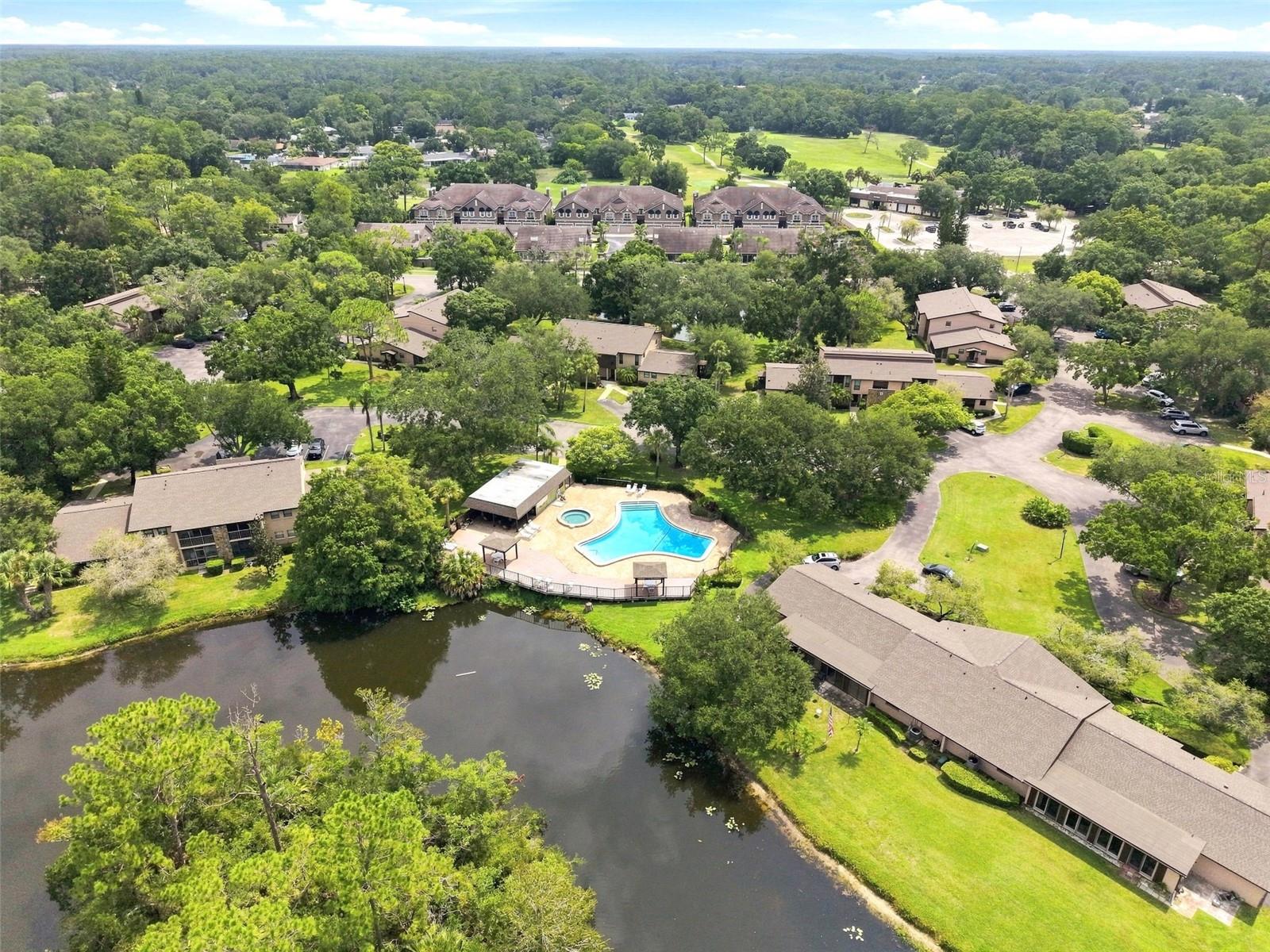 1400 Tarpon Woods Blvd #a1 Property Photo 40