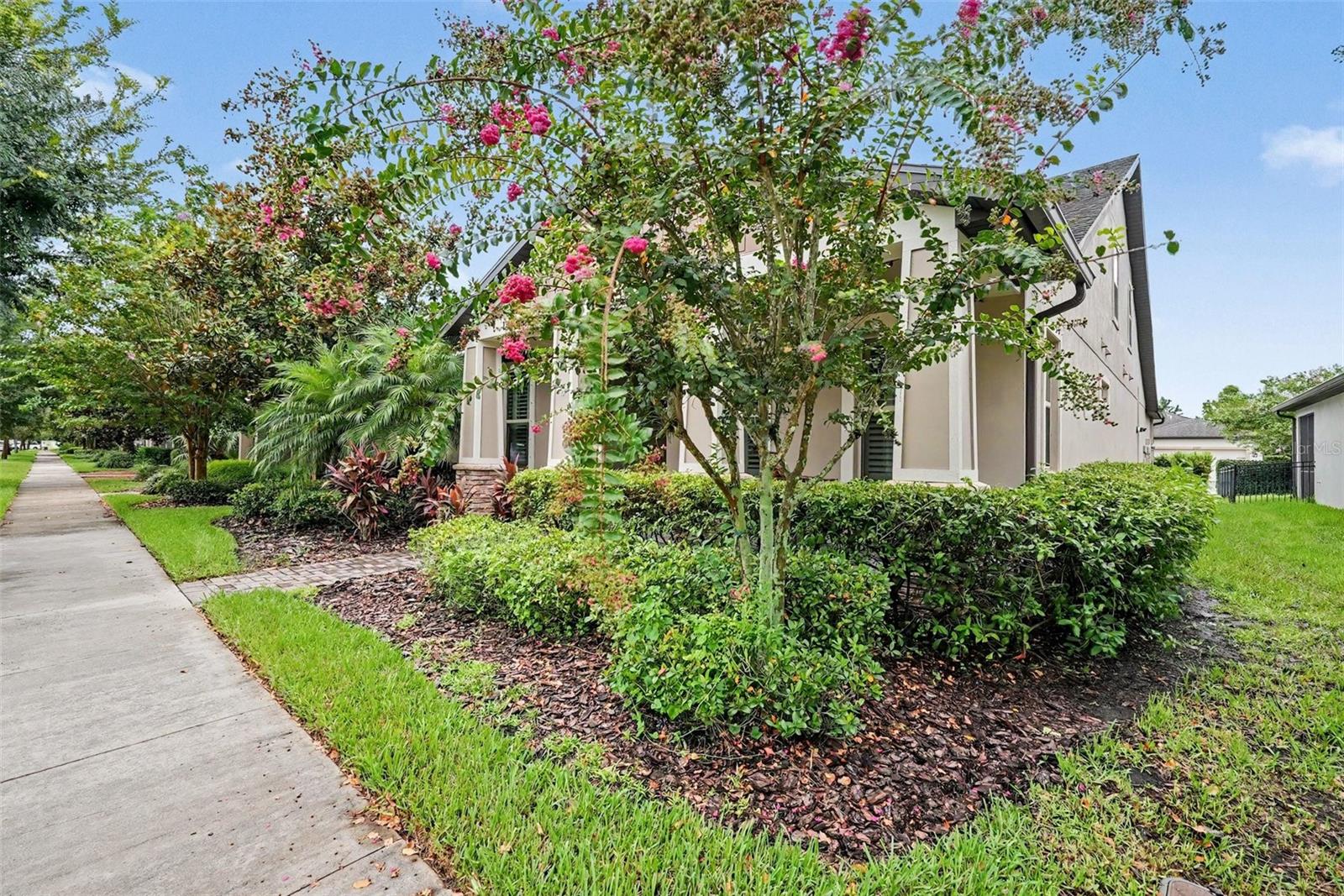 12890 Payton St Property Photo 6
