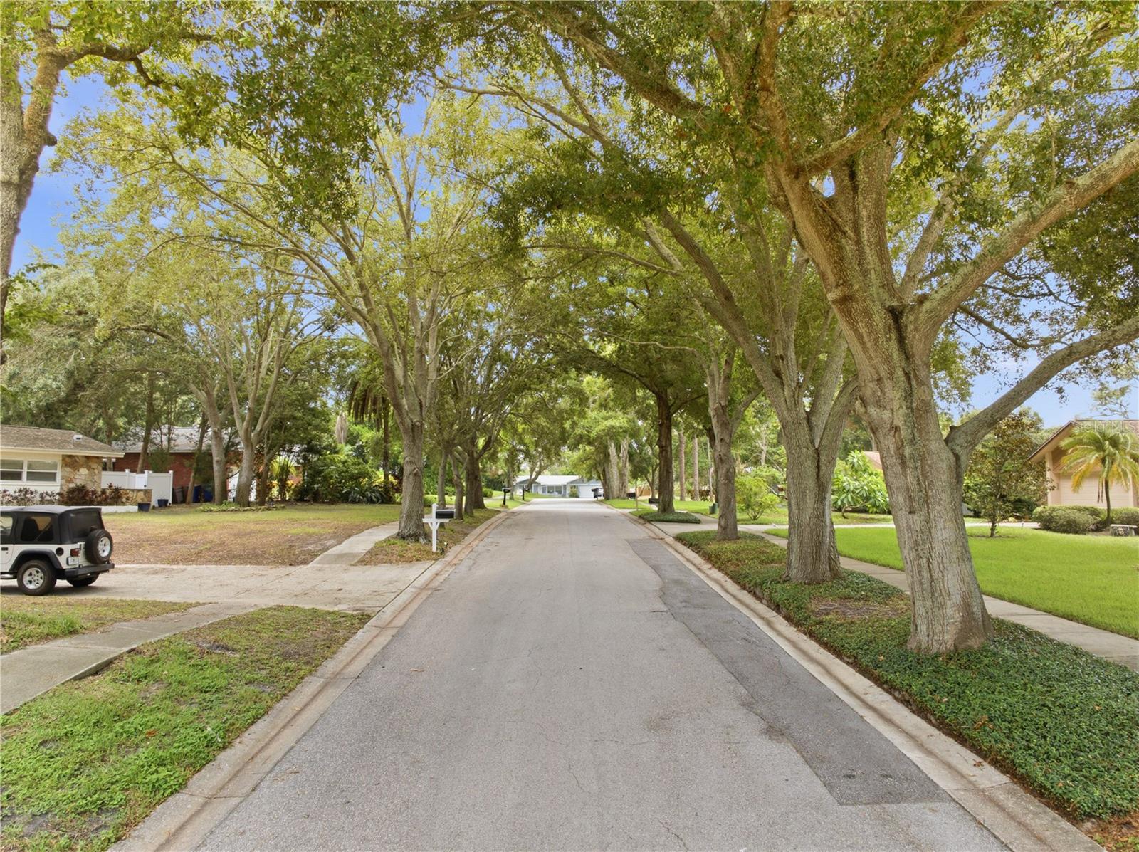 2860 Briarwood Ln Property Photo 8