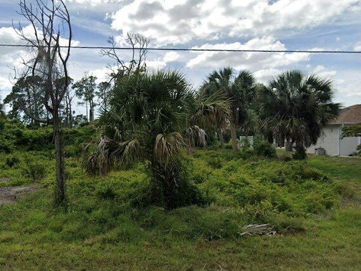 6611 DAVID BLVD Property Photo 1