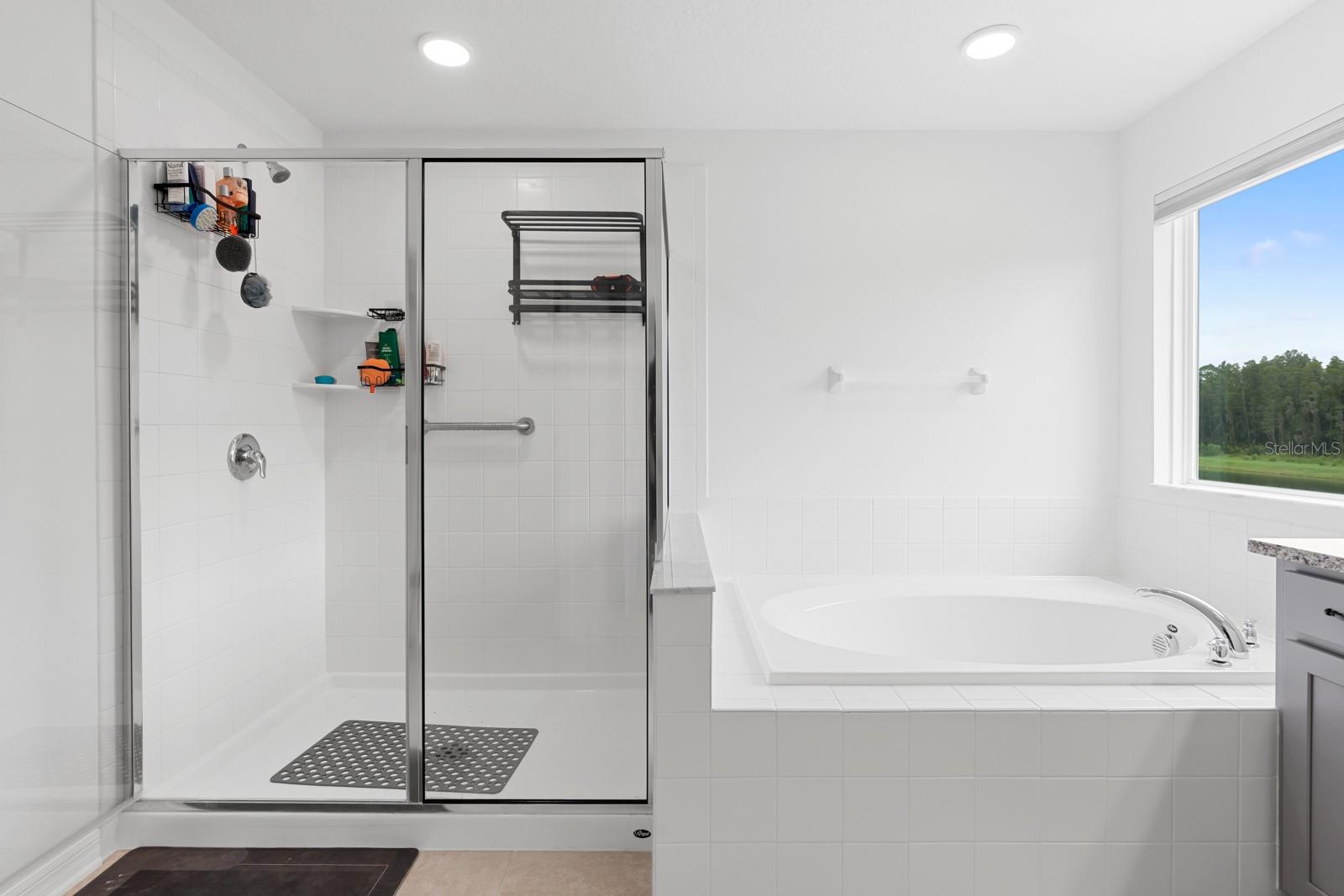 10726 New Morning Dr Property Photo 48