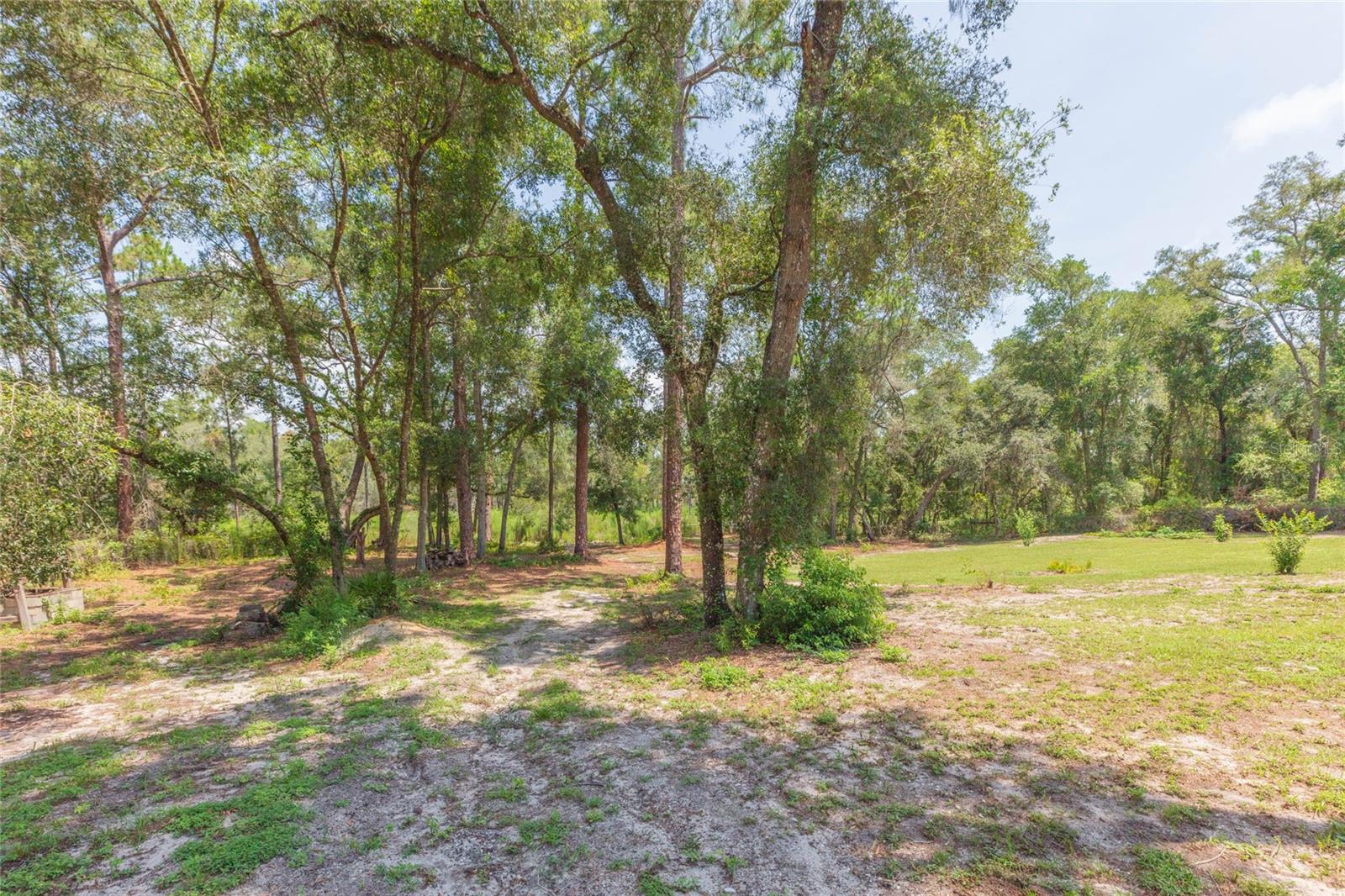 34299 Belt Dr Property Photo 58