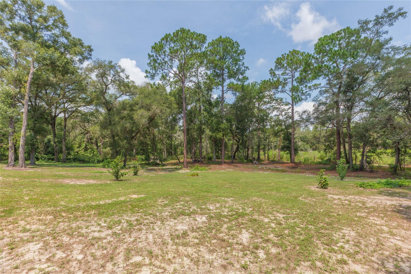 34299 Belt Dr Property Photo 61