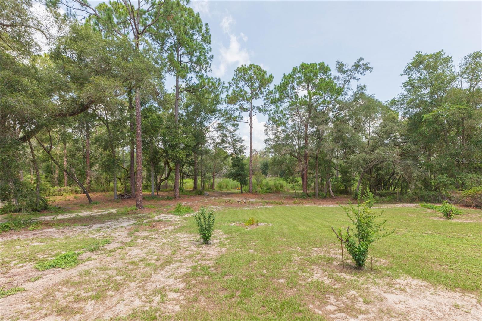 34299 Belt Dr Property Photo 62