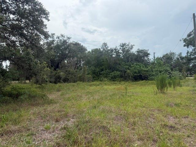 5515 State Road 29 S Property Photo 4