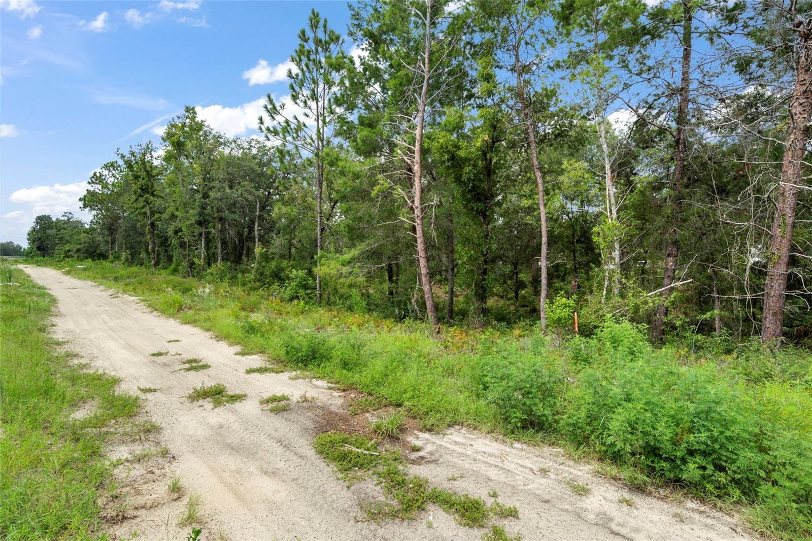 12250 Marvelwood Rd Property Photo 9