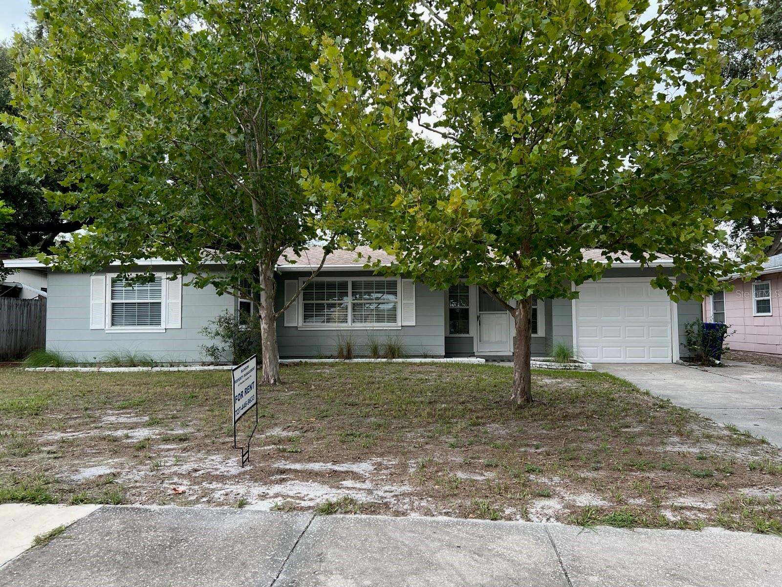 818 Scotland St Property Photo 2