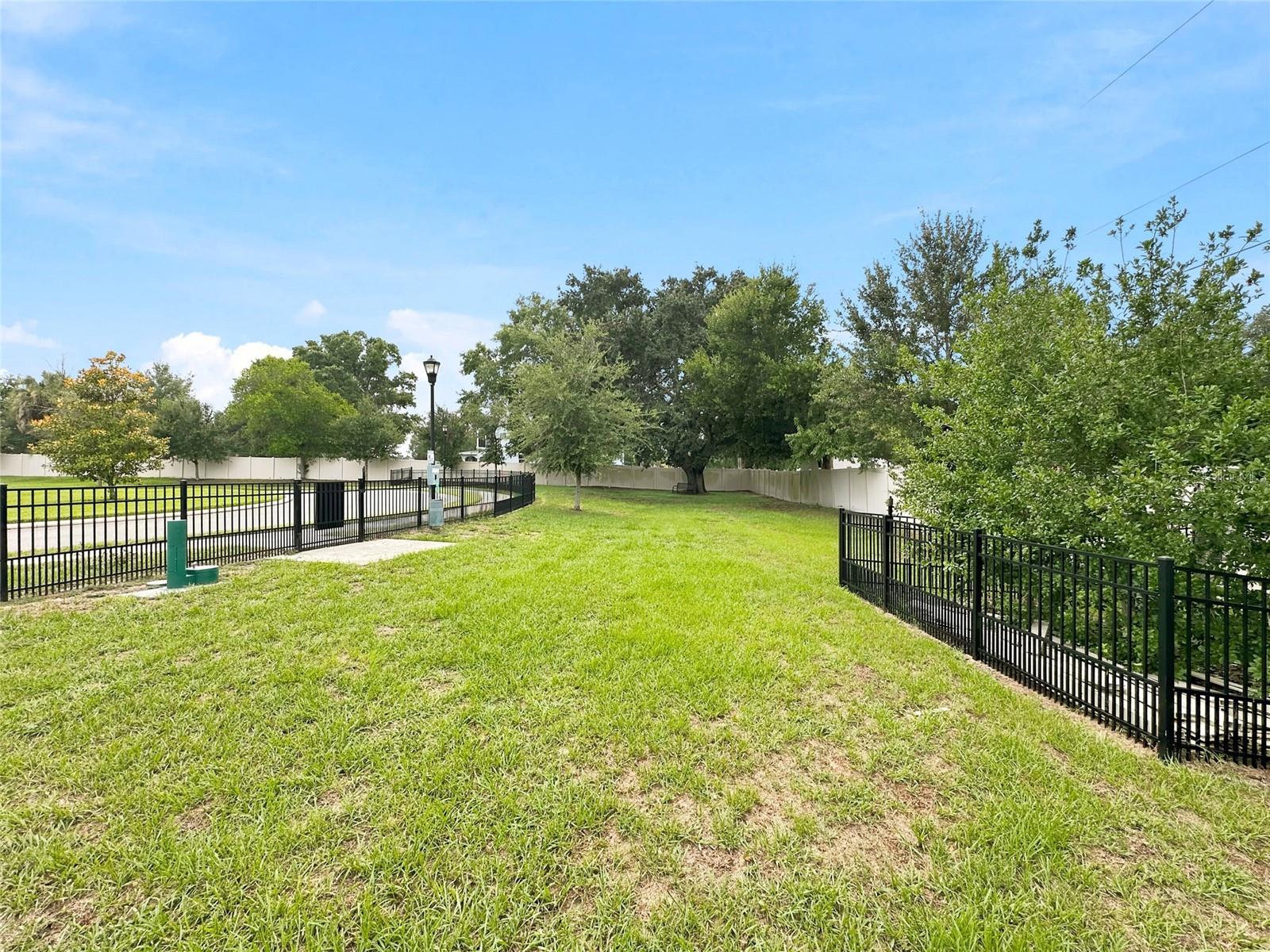 4678 Dover Bluff Ct Property Photo 48