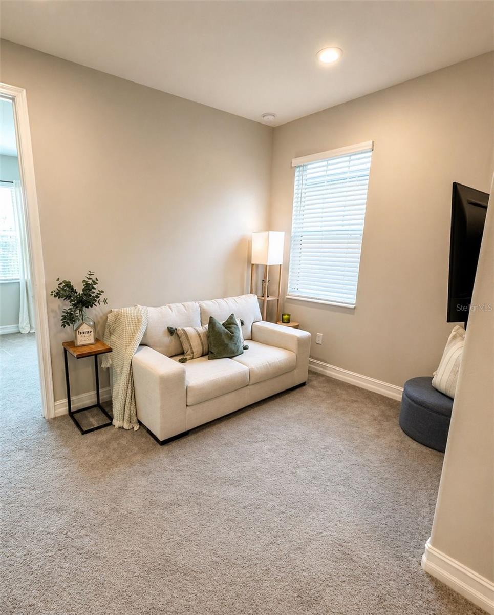 5054 San Martino Dr Property Photo 46