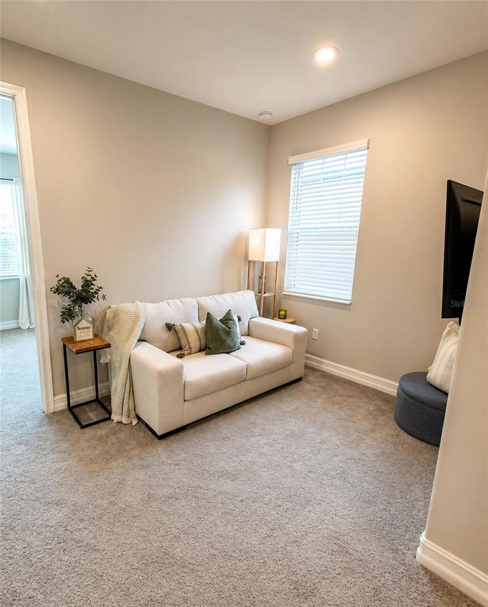 5054 San Martino Dr Property Photo 48