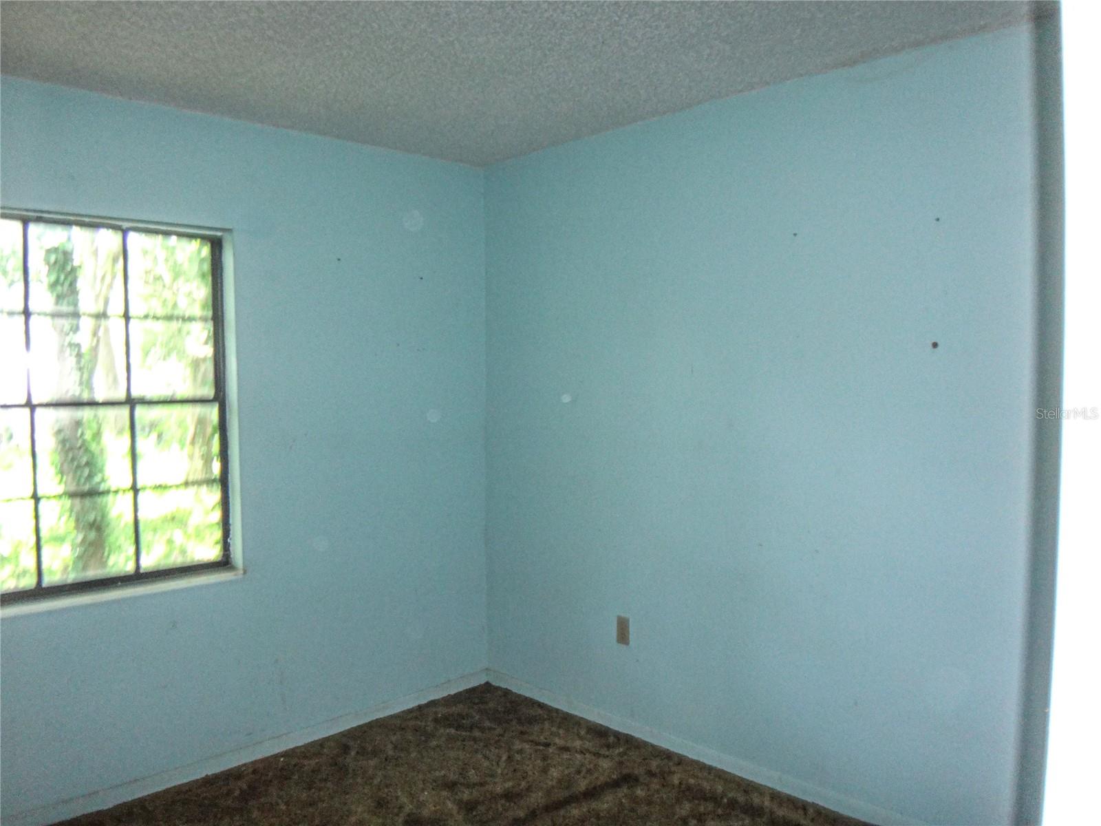 7556 23rd St Property Photo 12