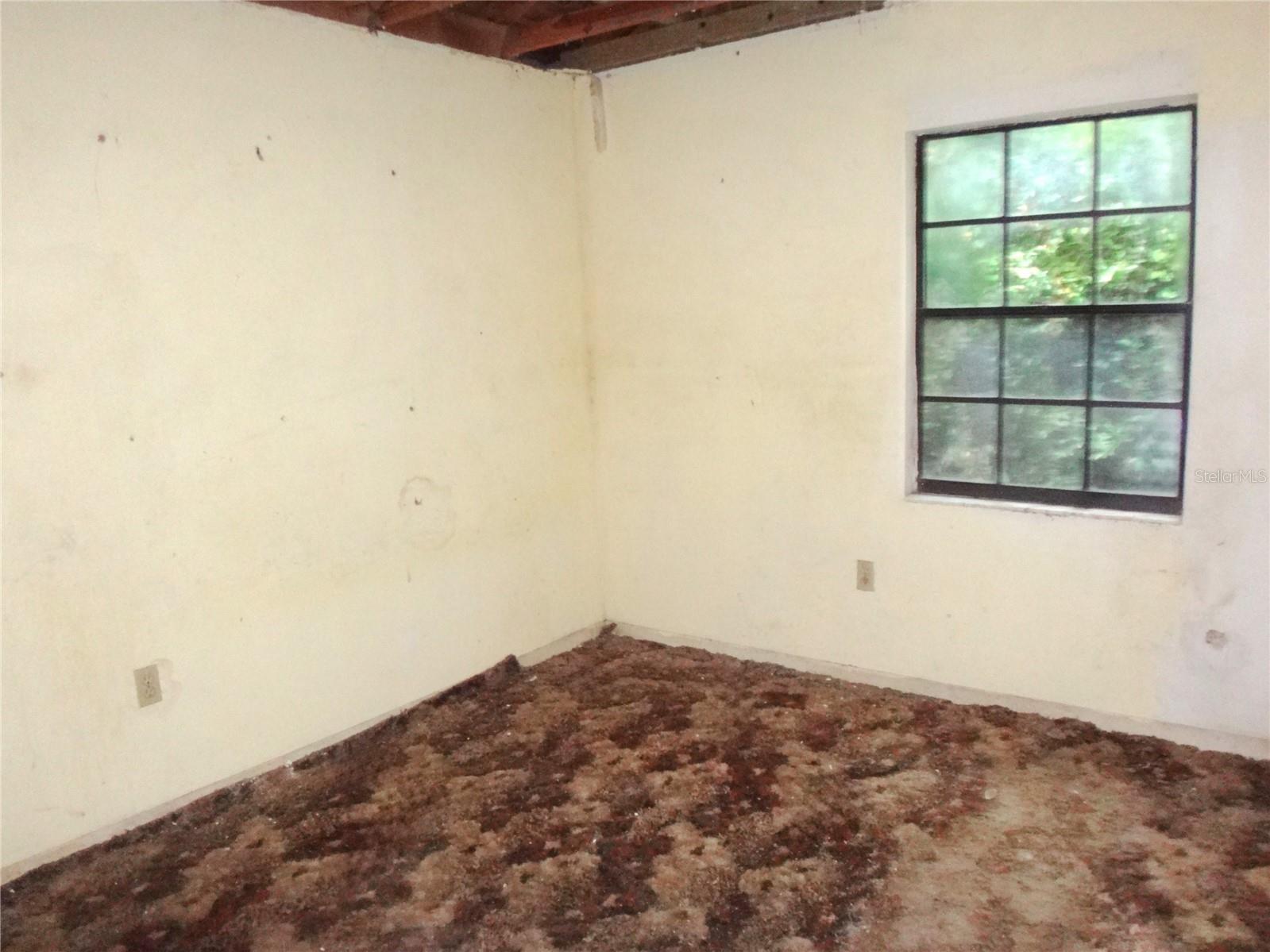 7556 23rd St Property Photo 16