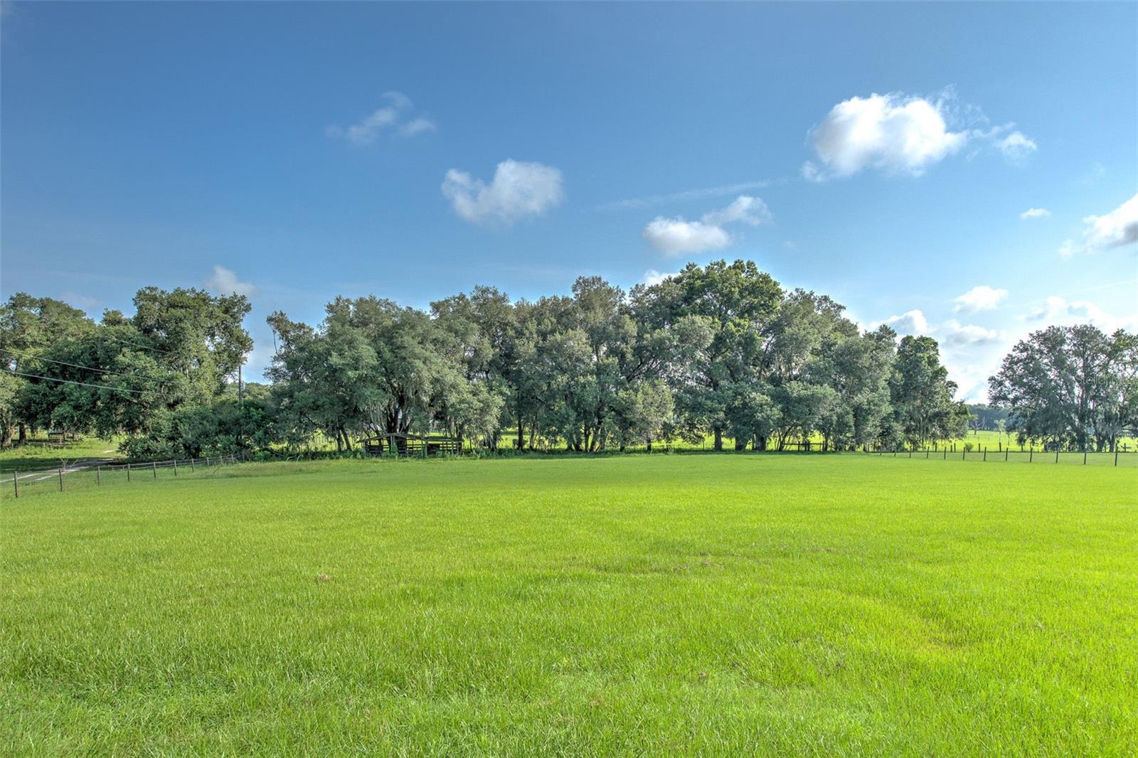 16520 Spring Valley Rd Property Photo 30