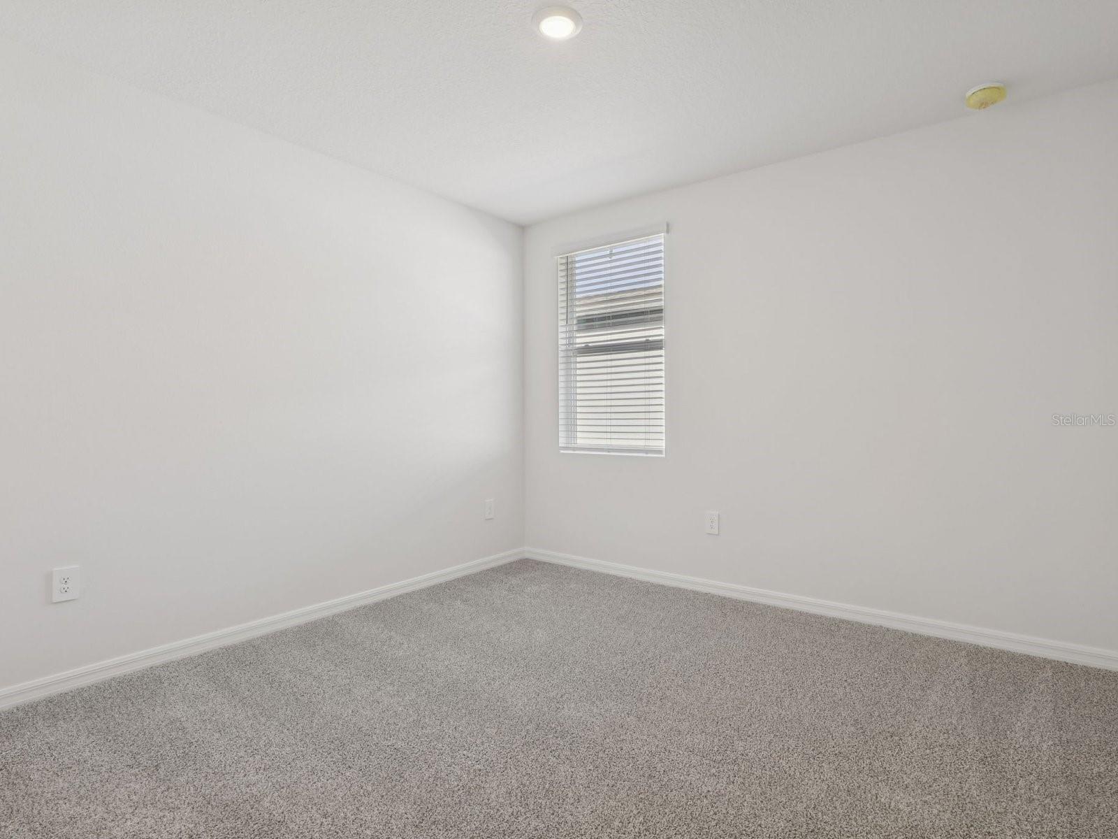 2896 Wild Olive Dr Property Photo 10