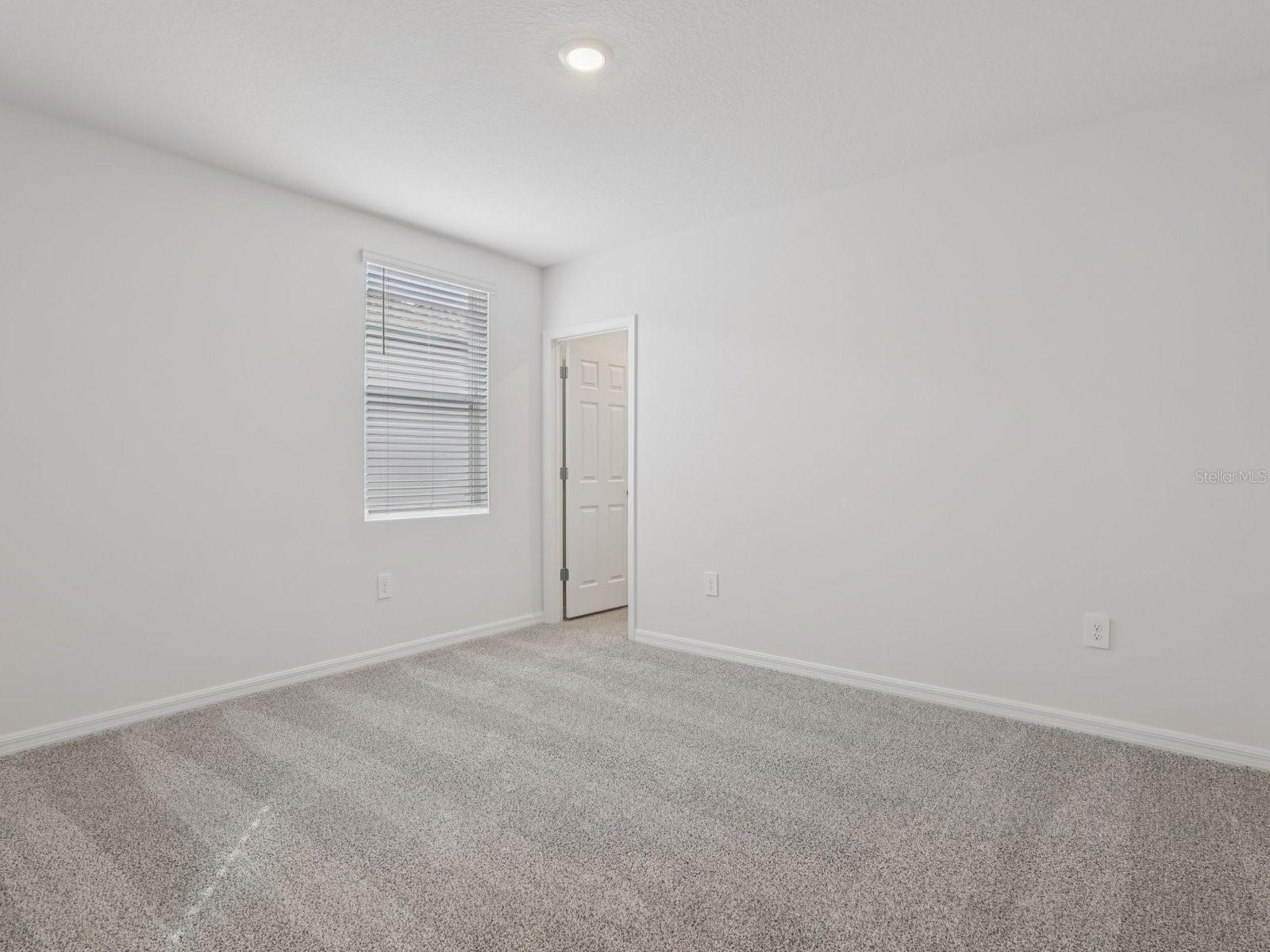 2896 Wild Olive Dr Property Photo 11