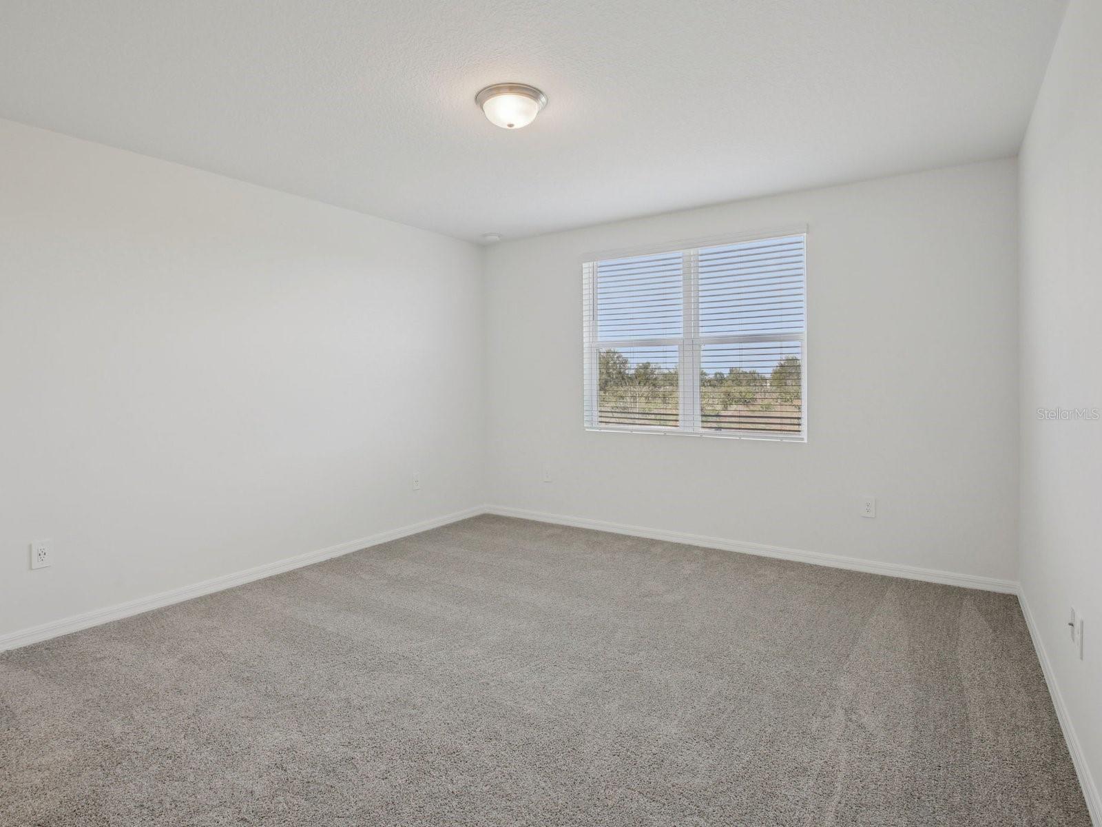 2896 Wild Olive Dr Property Photo 12