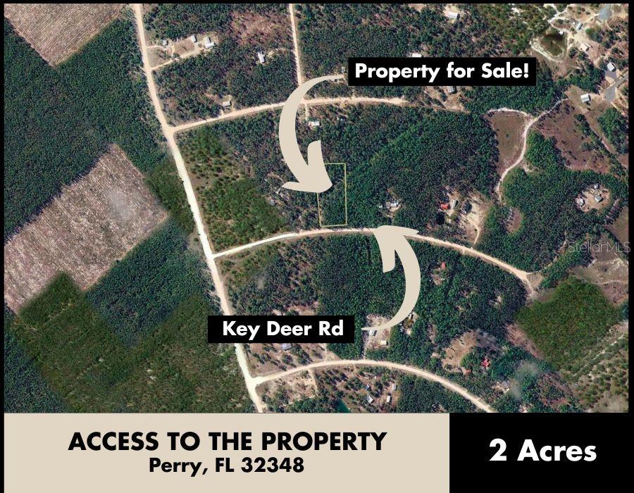 Key Deer Ct Property Photo 6