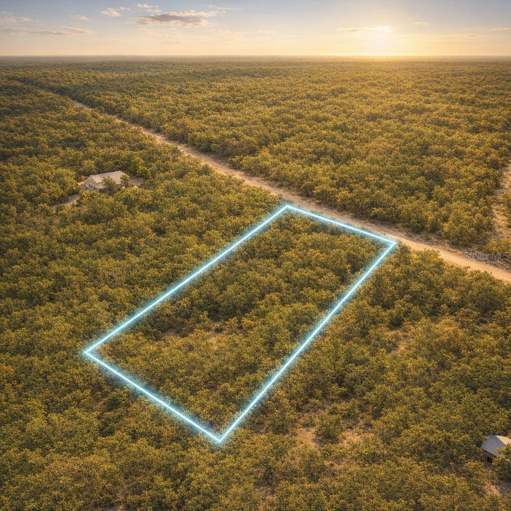 Key Deer Ct Property Photo 8