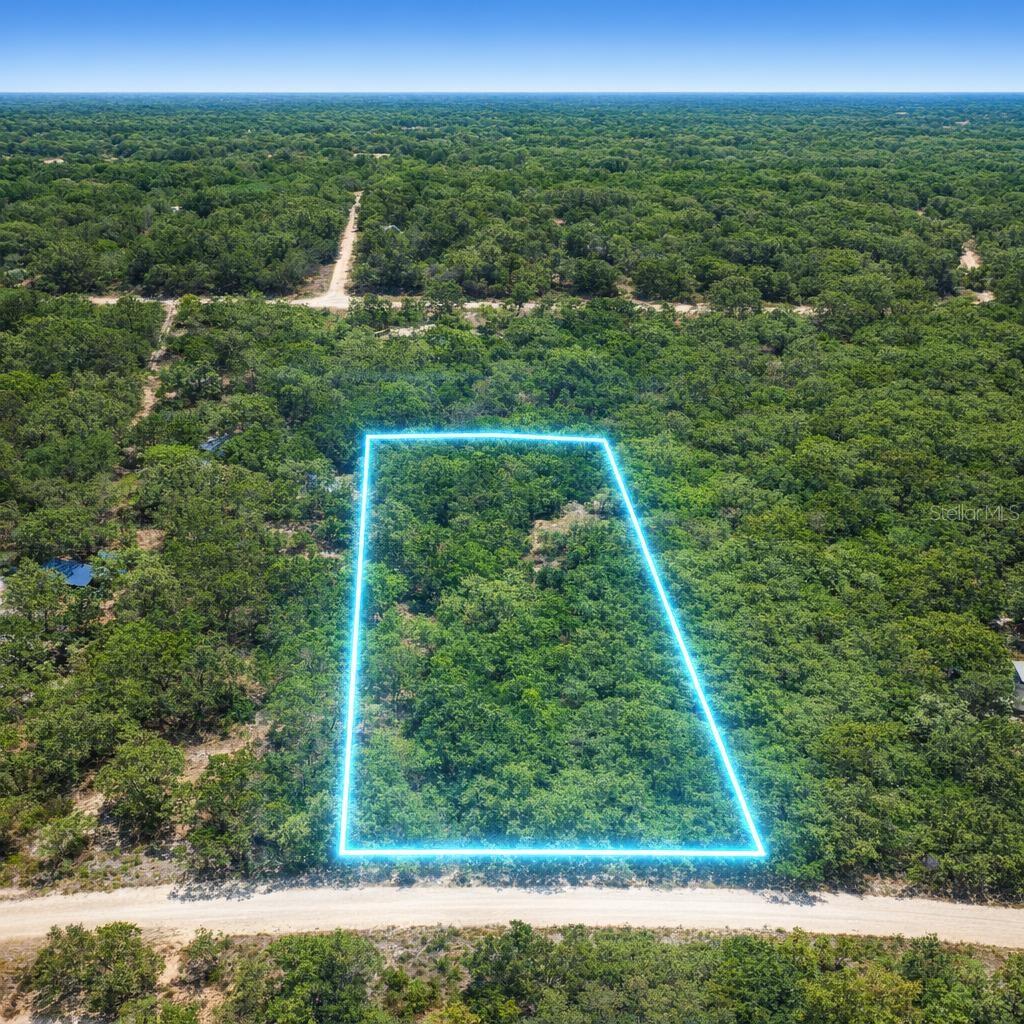 Key Deer Ct Property Photo 12