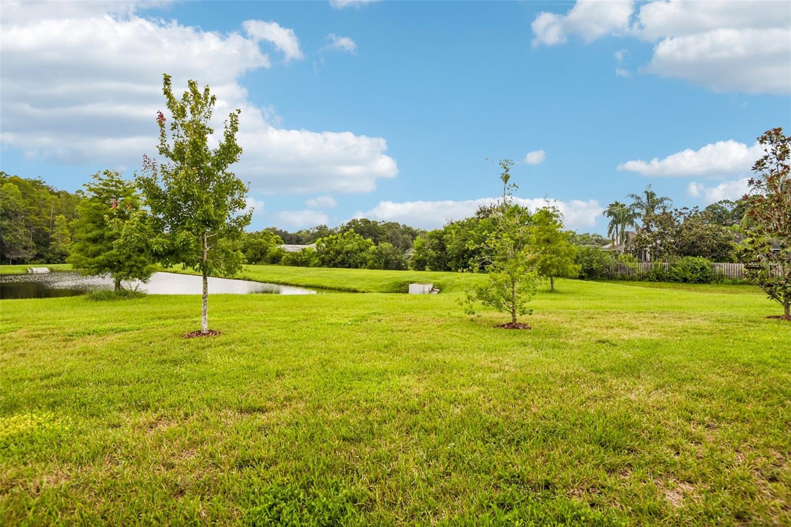 7510 Ashbrooke Pine Loop Property Photo 36