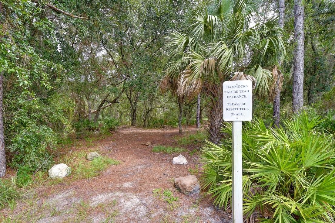 8551 Trail Wind Dr Property Photo 39