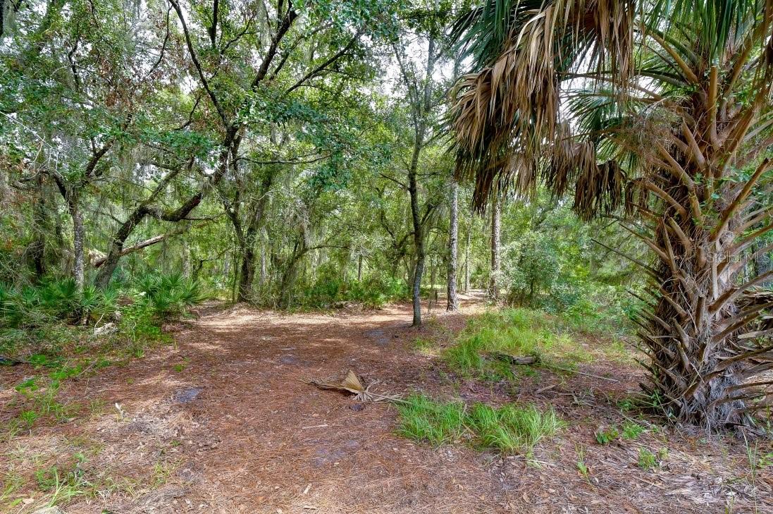 8551 Trail Wind Dr Property Photo 40