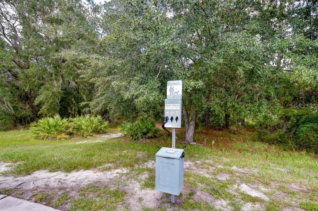 8551 Trail Wind Dr Property Photo 41