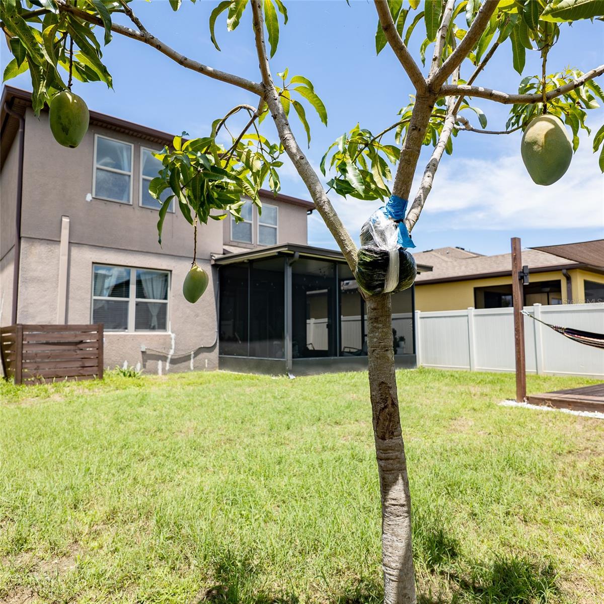 1507 Gadsden Point Pl Property Photo 62