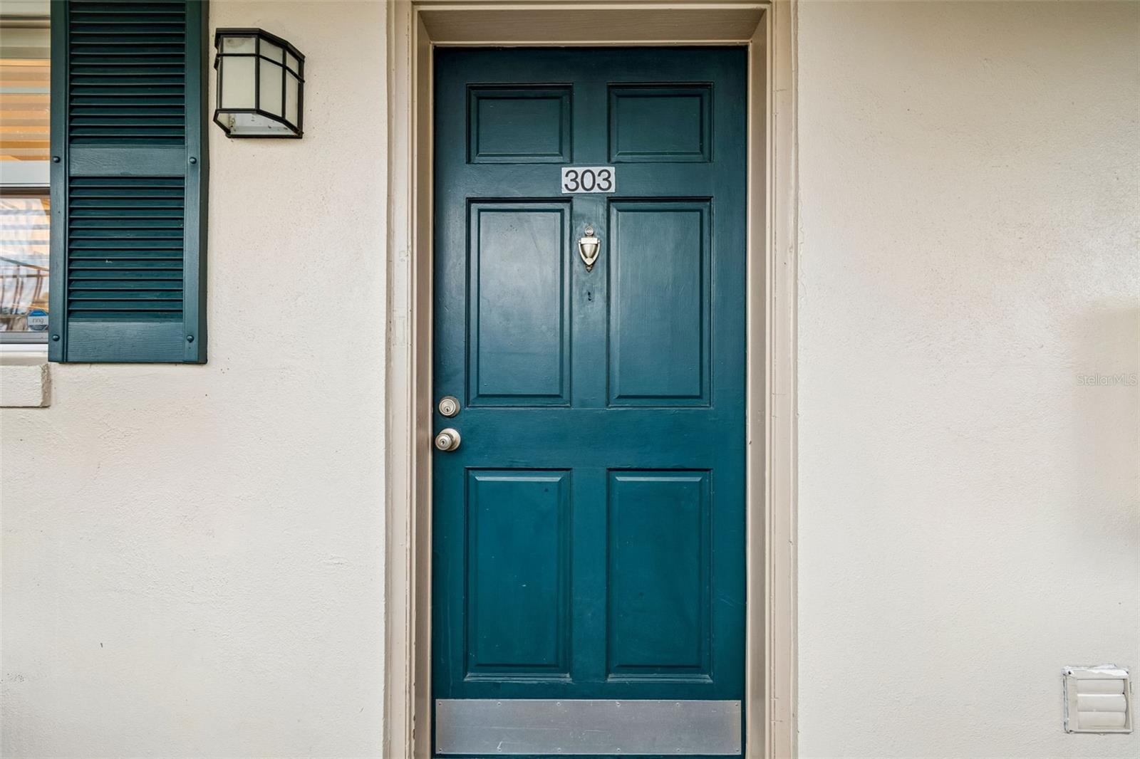 10387 Carrollwood Ln #303 Property Photo 2