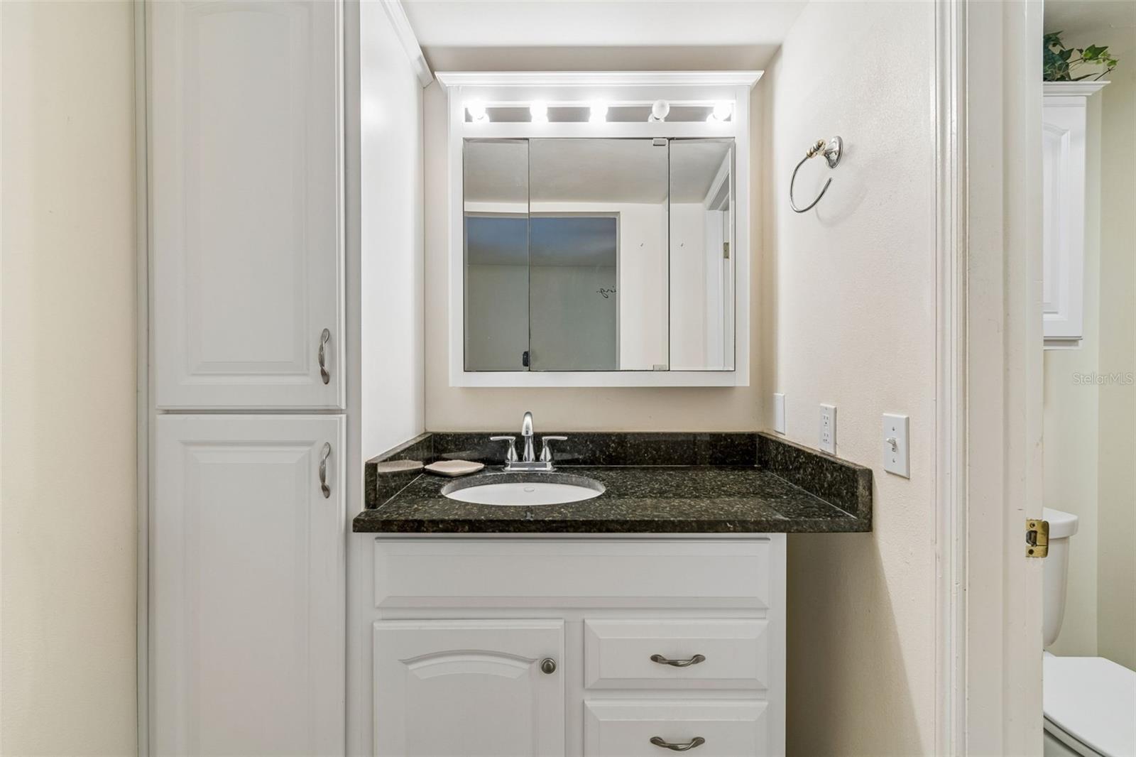 10387 Carrollwood Ln #303 Property Photo 25