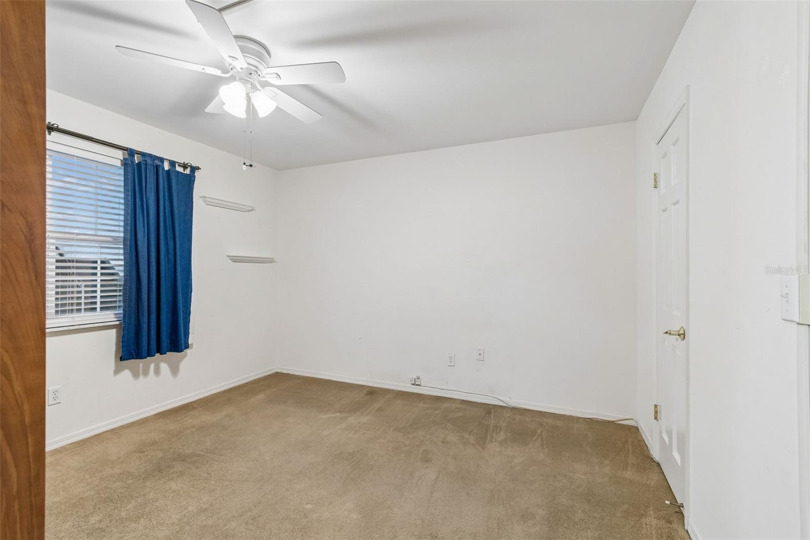 10387 Carrollwood Ln #303 Property Photo 29