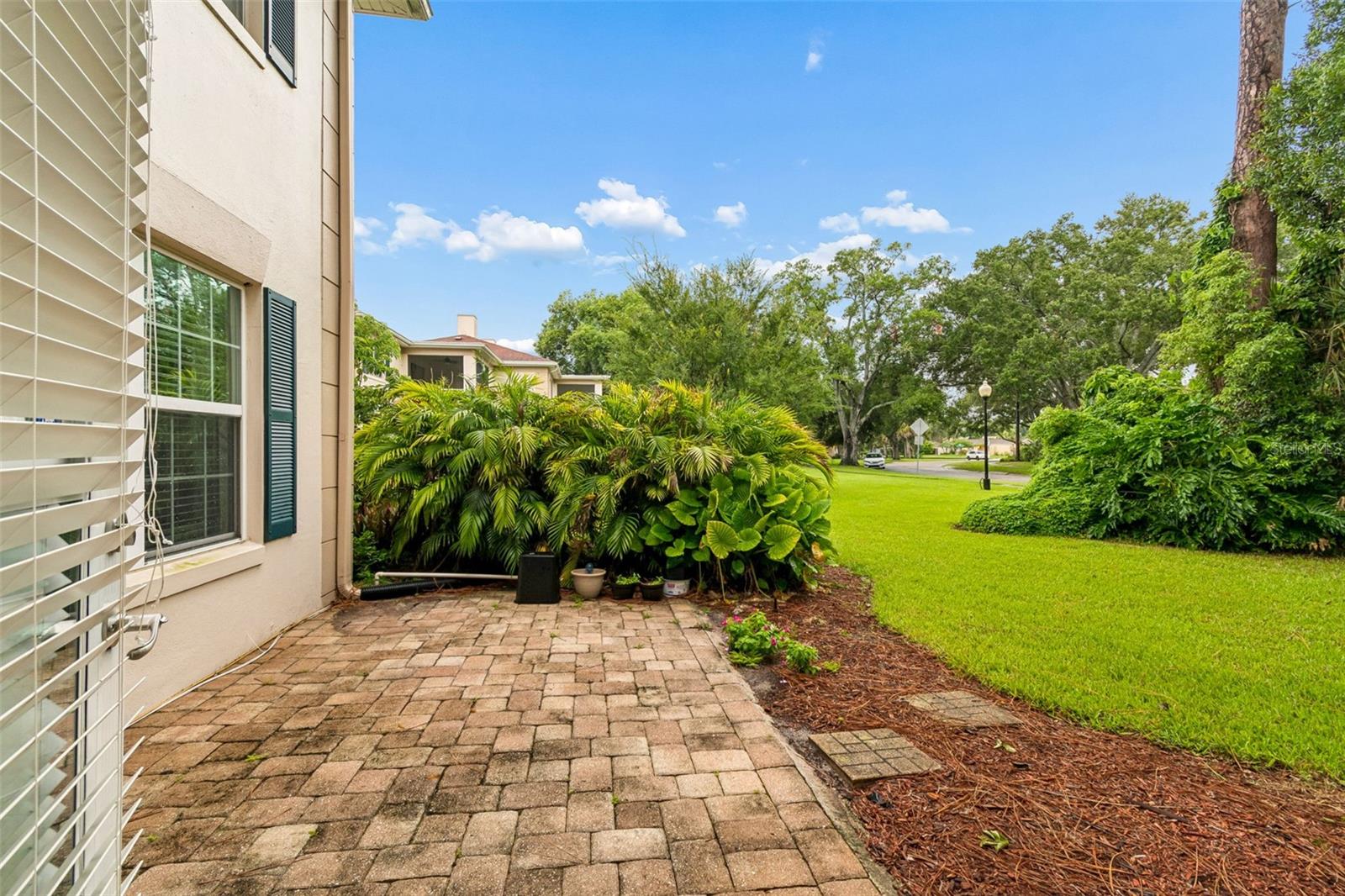 10387 Carrollwood Ln #303 Property Photo 41