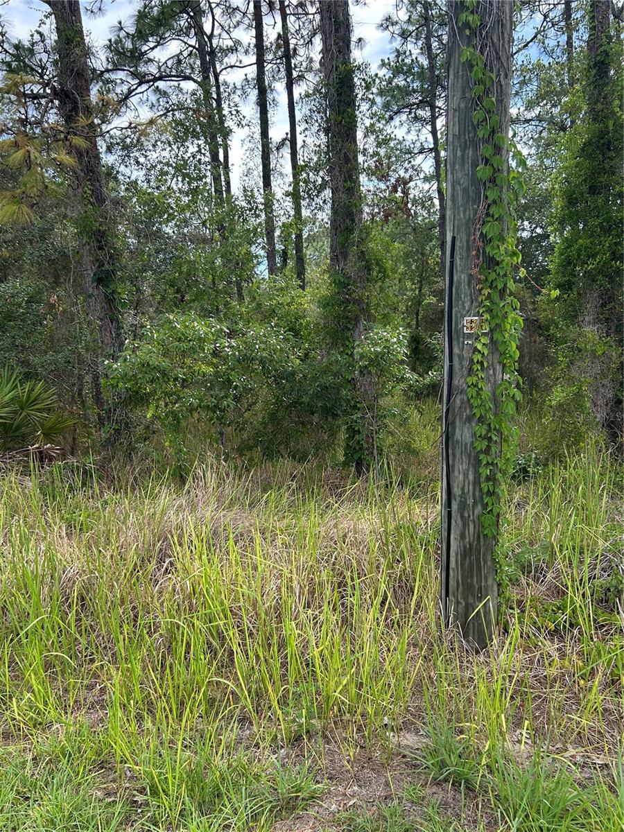 8131 Nightingale Rd Property Photo 2