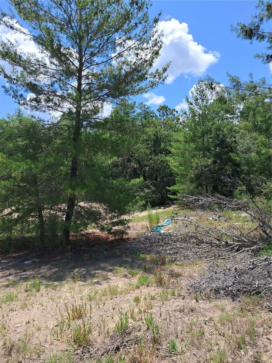 0 Sw 65 Ave Rd Property Photo 1