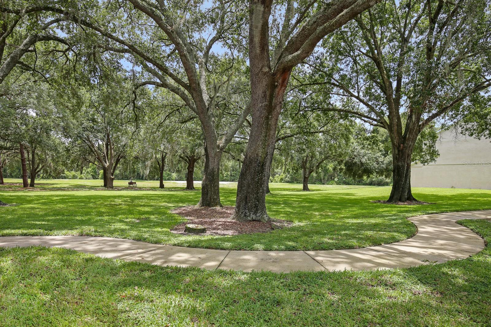 2403 Lake Woodberry Cir Property Photo 17
