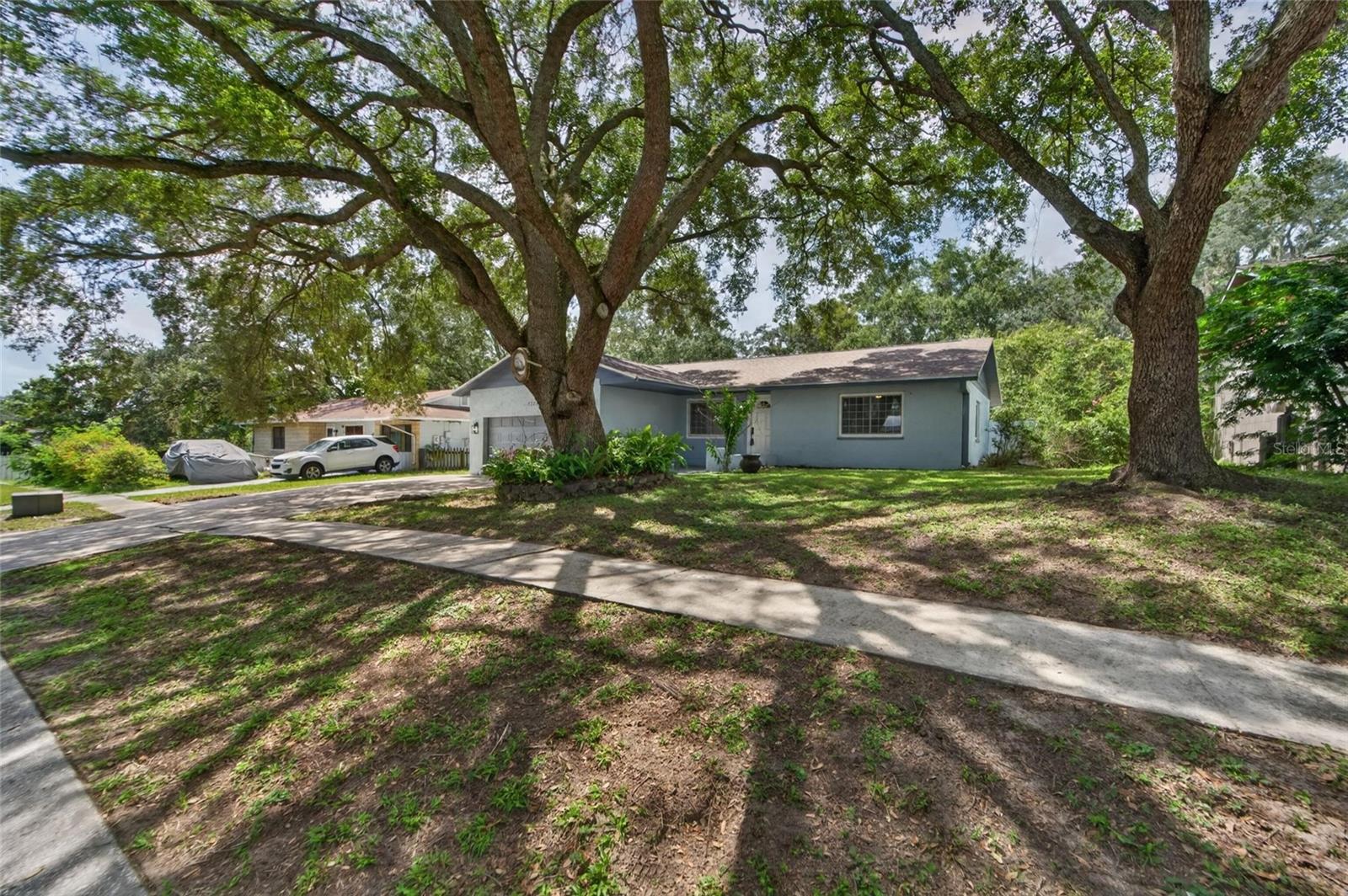1229 Oak Valley Dr Property Photo 6